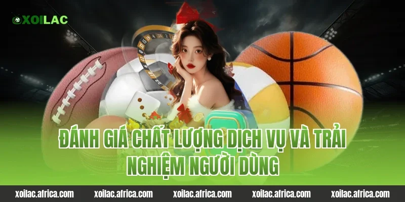 Đánh giá chất lượng dịch vụ và trải nghiệm người dùng