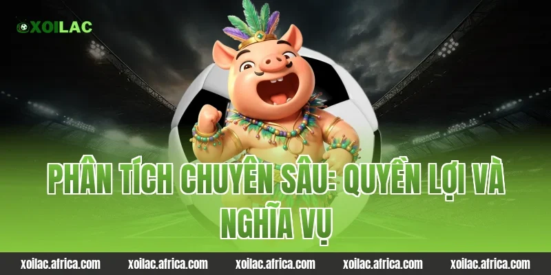 Phân tích chuyên sâu: Quyền lợi và Nghĩa vụ