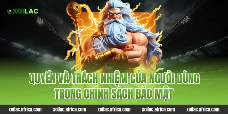 Quyền và trách nhiệm của người dùng trong chính sách bảo mật