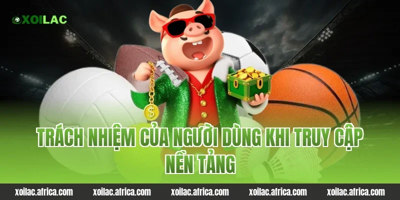 Trách nhiệm của người dùng khi truy cập nền tảng